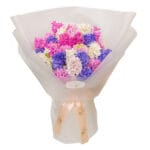 Bouquet of Colorful Hyacinths