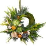 Exotic Christmas