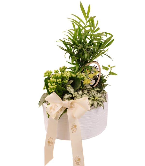 Green Nest